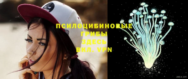 герыч Дмитриев
