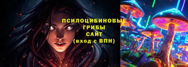 герыч Дмитриев